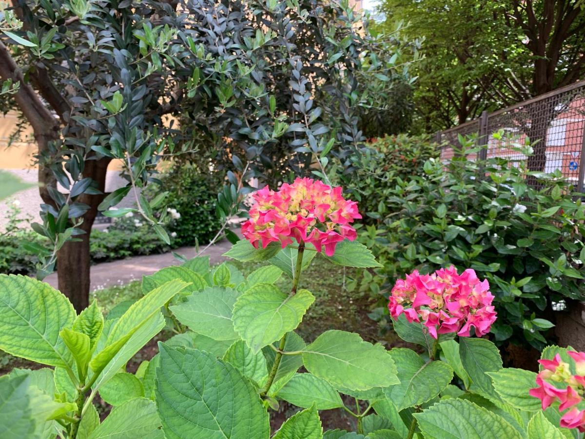Casa Beraldini Lägenhet Verona Exteriör bild
